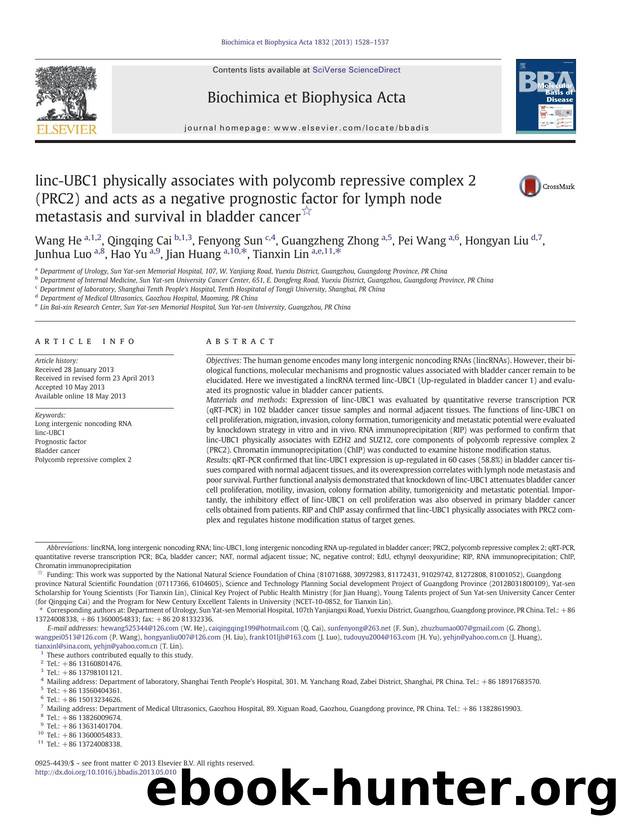 linc-UBC1 physically associates with polycomb repressive complex 2 (PRC2) and acts as a negative prognostic factor for lymph node metastasis and survival in bladder cancer by unknow