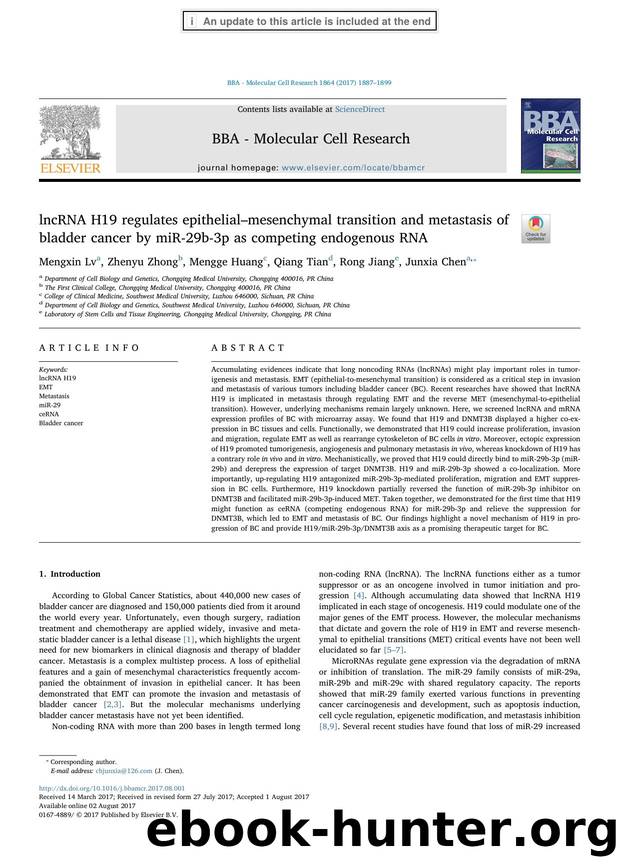 lncRNA H19 regulates epithelialâmesenchymal transition and metastasis of bladder cancer by miR-29b-3p as competing endogenous RNA by Mengxin Lv & Zhenyu Zhong & Mengge Huang & Qiang Tian & Rong Jiang & Junxia Chen