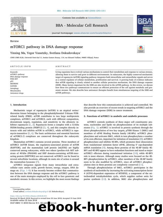 mTORC1 pathway in DNA damage response by Yinxing Ma & Yegor Vassetzky & Svetlana Dokudovskaya