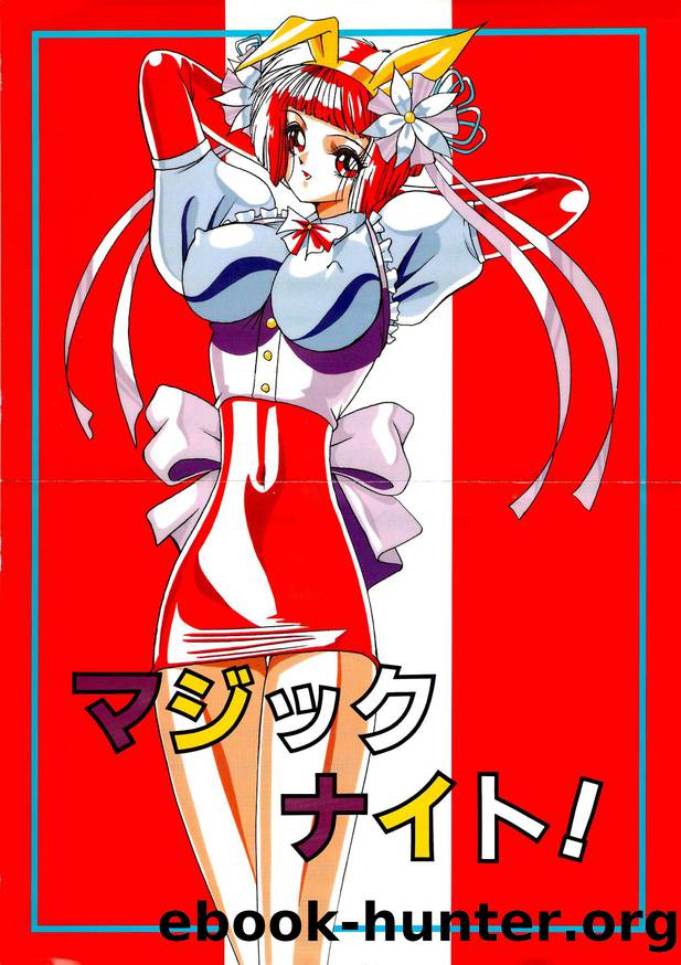 magic knight manual by Unknown