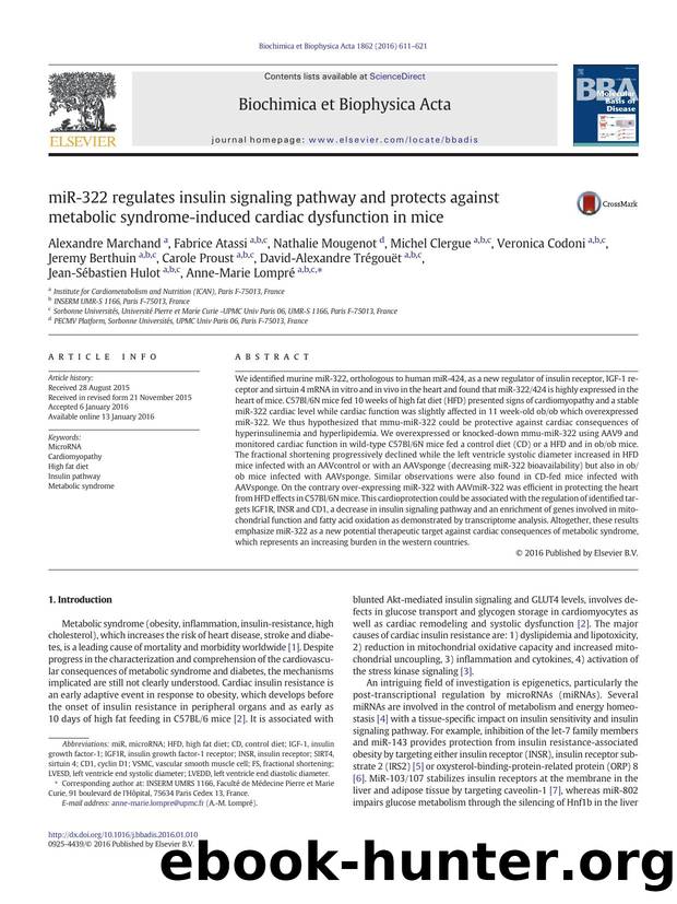 miR-322 regulates insulin signaling pathway and protects against metabolic syndrome-induced cardiac dysfunction in mice by unknow