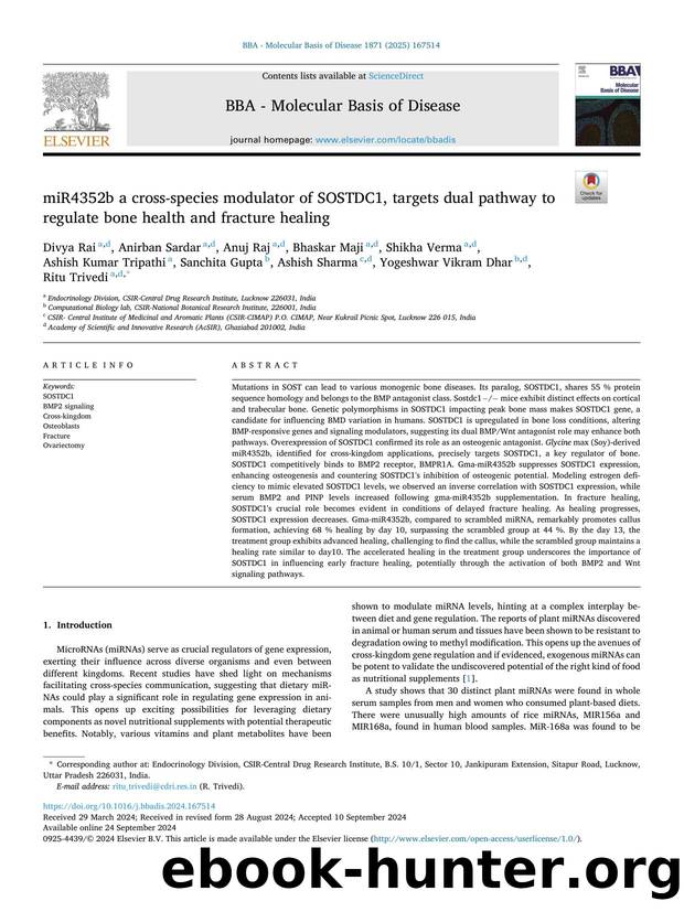 miR4352b a cross-species modulator of SOSTDC1, targets dual pathway to regulate bone health and fracture healing by unknow