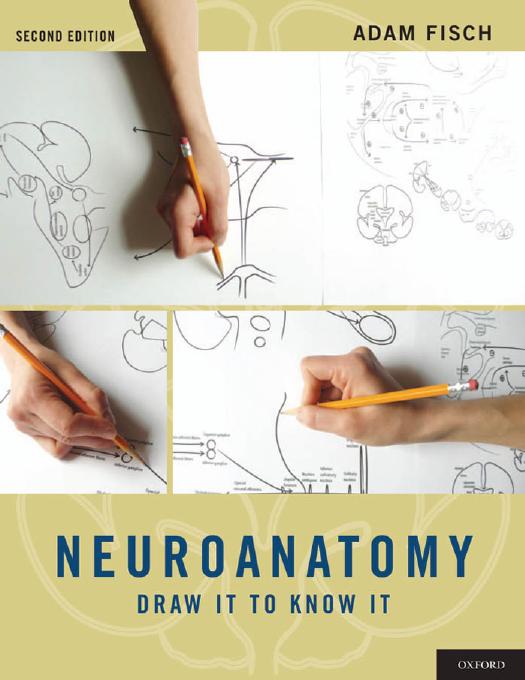 neuroanatomy DRAW IT TO KNOW IT by Unknown