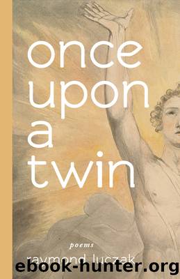 once upon a twin by Raymond Luczak