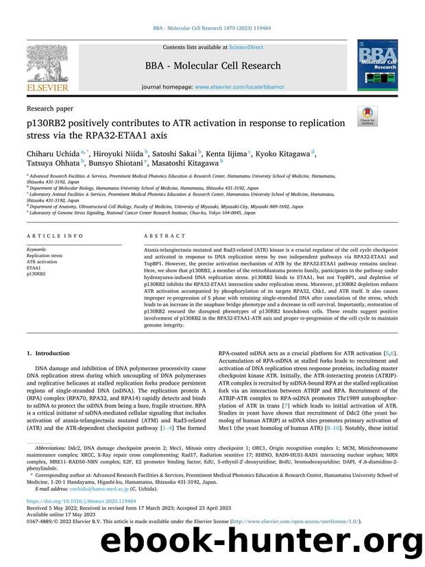 p130RB2 positively contributes to ATR activation in response to replication stress via the RPA32-ETAA1 axis by unknow