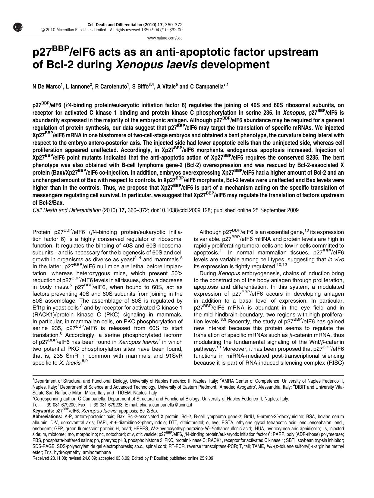 p27BBP&sol;eIF6 acts as an anti-apoptotic factor upstream of Bcl-2 during Xenopus laevis development by N De Marco & L Iannone & R Carotenuto & S Biffo & A Vitale & C Campanella