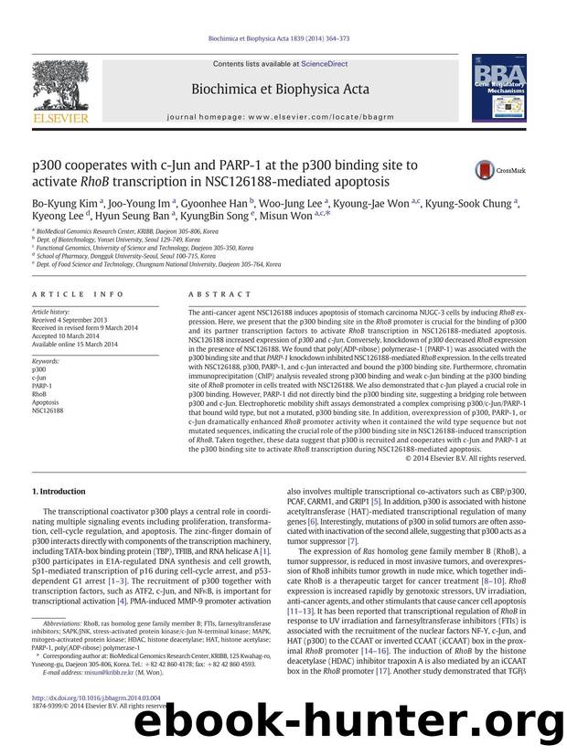 p300 cooperates with c-Jun and PARP-1 at the p300 binding site to activate RhoB transcription in NSC126188-mediated apoptosis by unknow