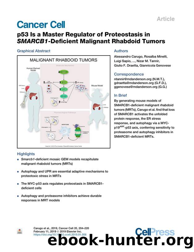 p53 Is a Master Regulator of Proteostasis in SMARCB1-Deficient Malignant Rhabdoid Tumors by unknow
