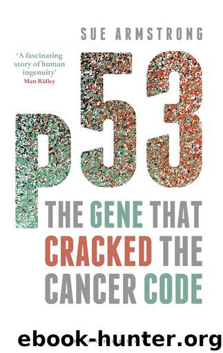 p53 by Sue Armstrong