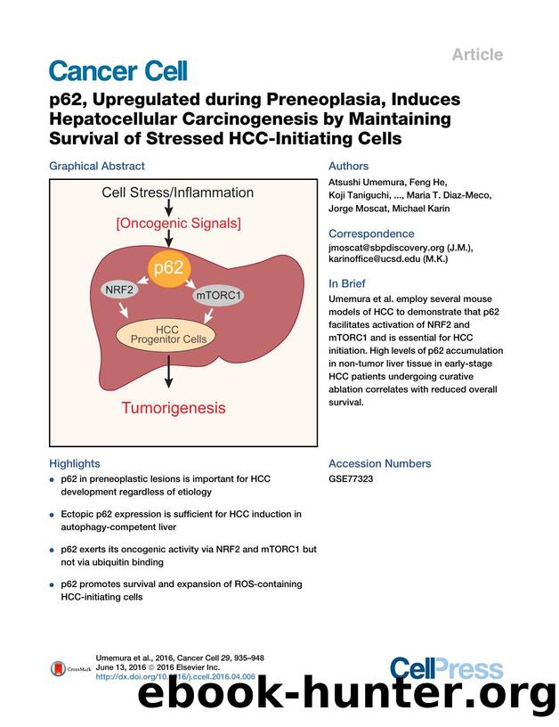 p62, Upregulated during Preneoplasia, Induces Hepatocellular Carcinogenesis by Maintaining Survival of Stressed HCC-Initiating Cells by unknow