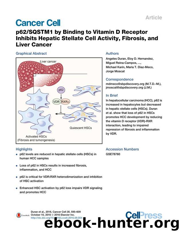 p62SQSTM1 by Binding to Vitamin D Receptor Inhibits Hepatic Stellate Cell Activity, Fibrosis, and Liver Cancer by unknow