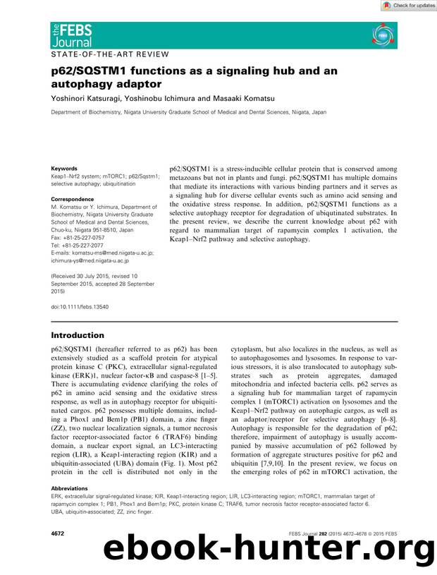 p62SQSTM1 functions as a signaling hub and an autophagy adaptor by Unknown