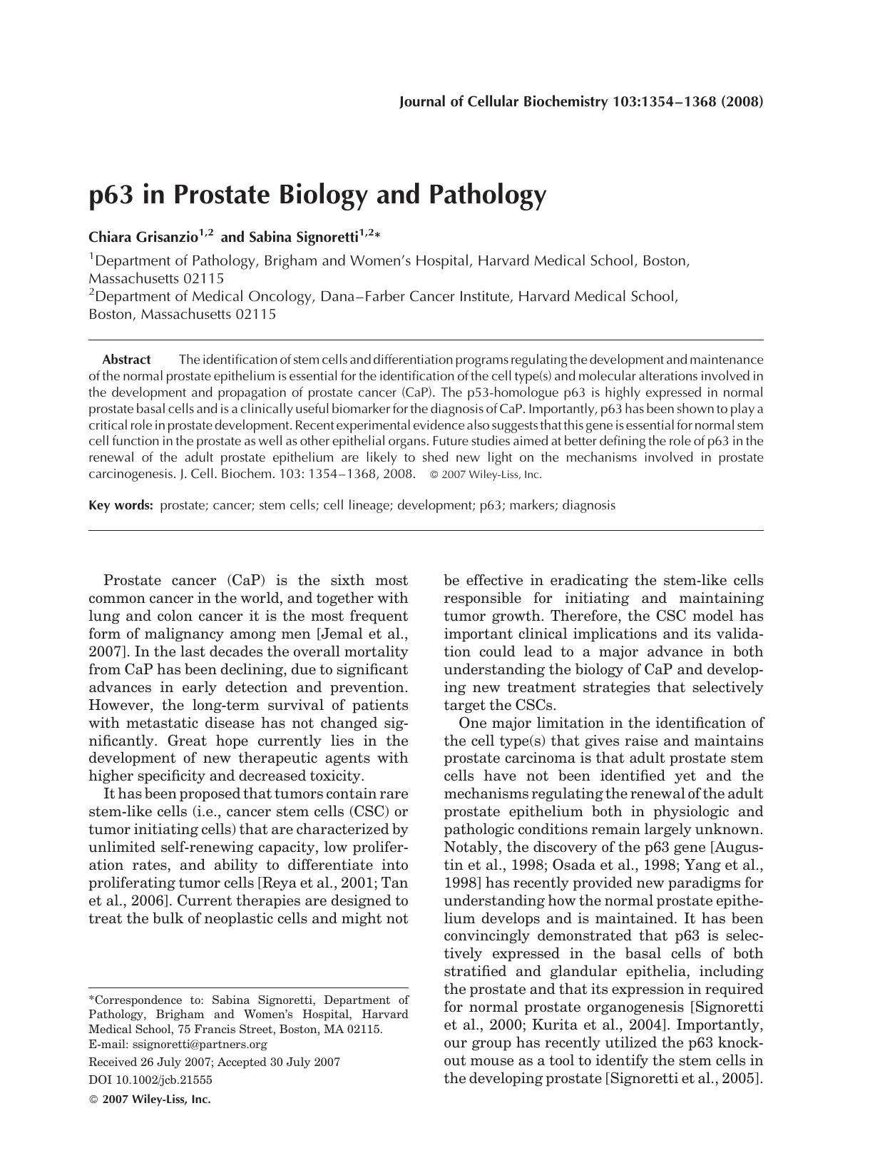 p63 in prostate biology and pathology by Unknown
