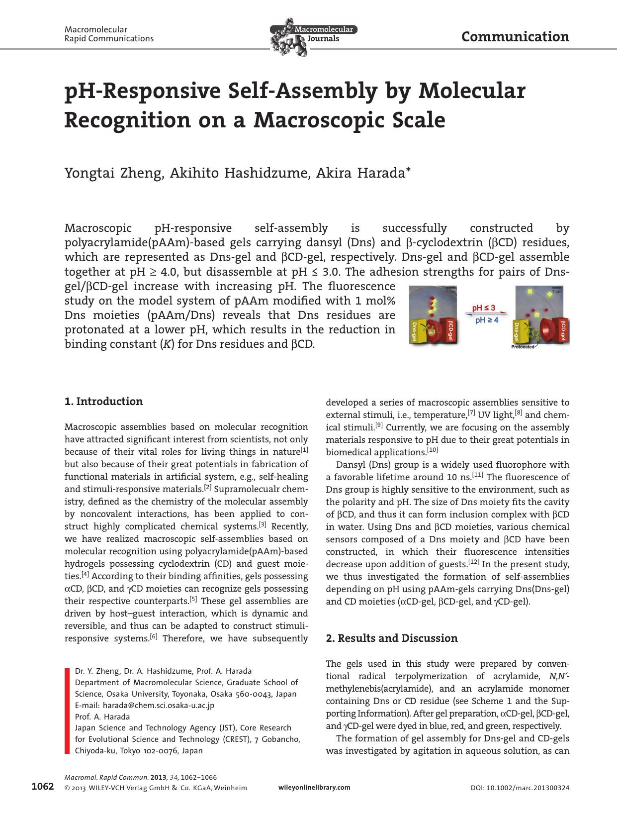 pHResponsive SelfAssembly by Molecular Recognition on a Macroscopic Scale by paccess12