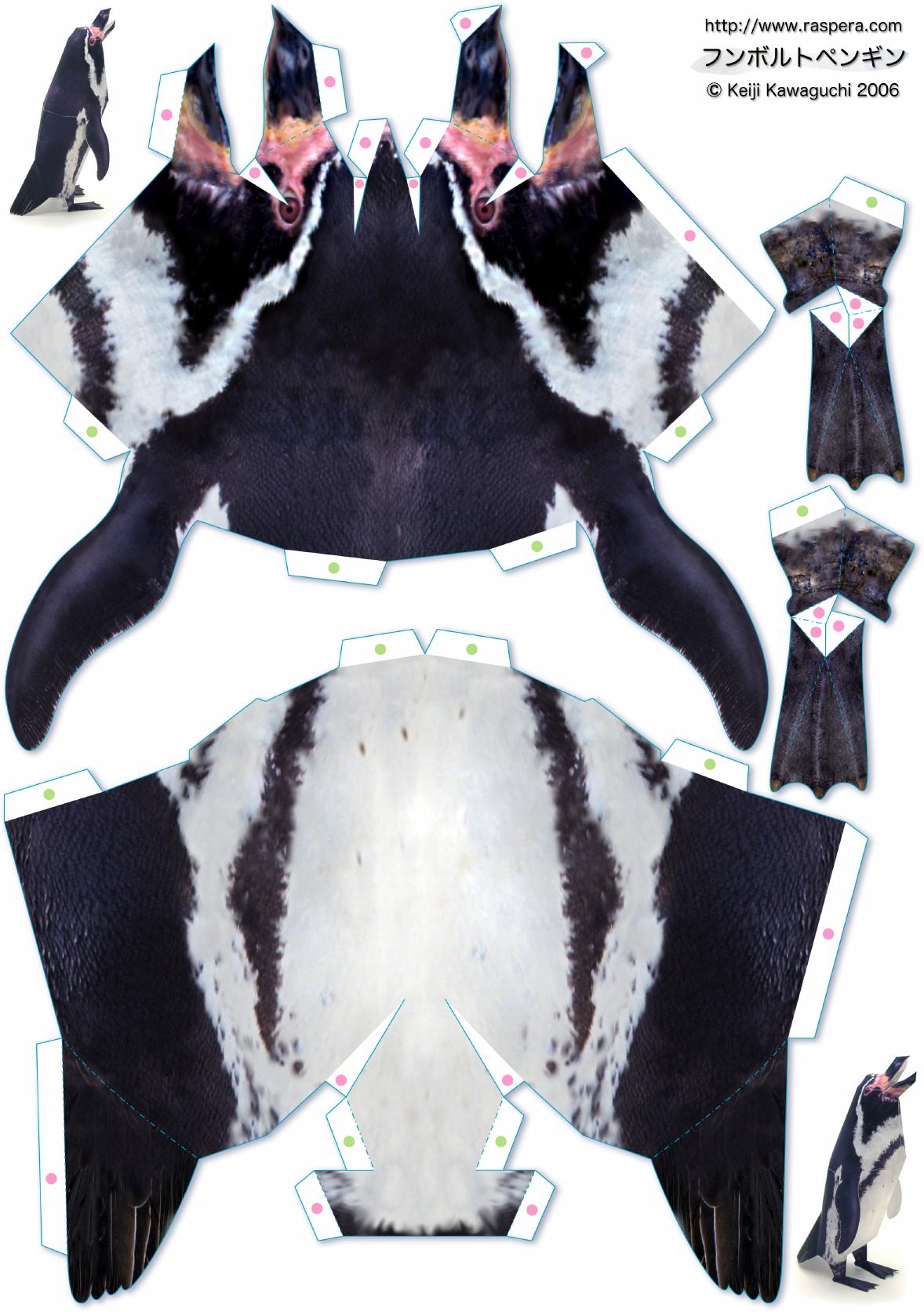 penguin by Unknown