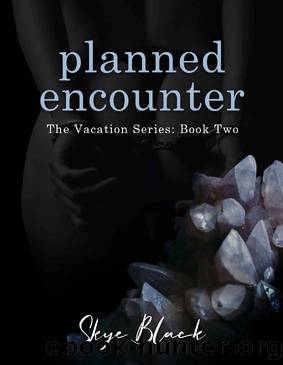 planned encounters (the vacation series Book 2) by Skye Black