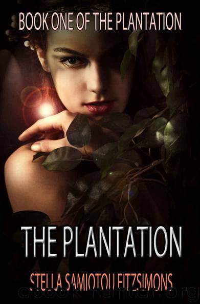 plantation by Stella Samiotou Fitzsimons