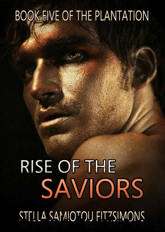 rise of the saviors by Stella Samiotou Fitzsimons