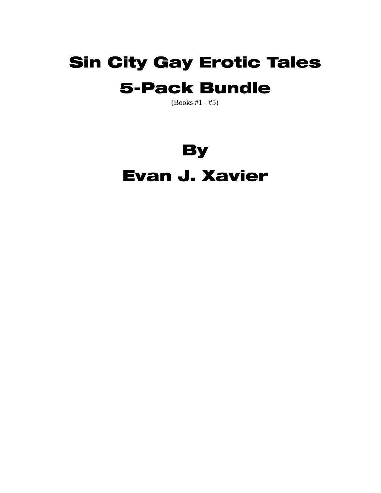 sin city gay erotic tales 5pk bundle - E by EvanX