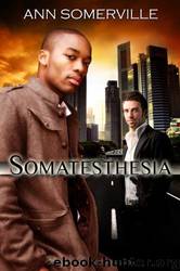somatesthesia by Ann Somerville