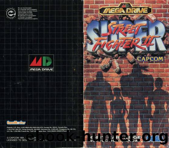 super street fighter ii by the new challengers usa
