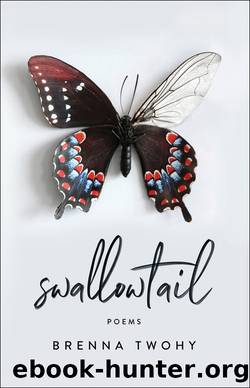 swallowtail by Brenna Twohy