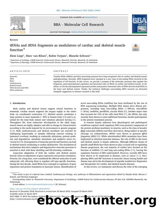 tRNAs and tRNA fragments as modulators of cardiac and skeletal muscle function by Eleni Liapi & Marc van Bilsen & Robin Verjans & Blanche Schroen