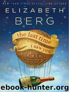 the Last Time I Saw You (2010) by Berg Elizabeth