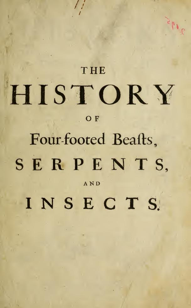 the history by Unknown