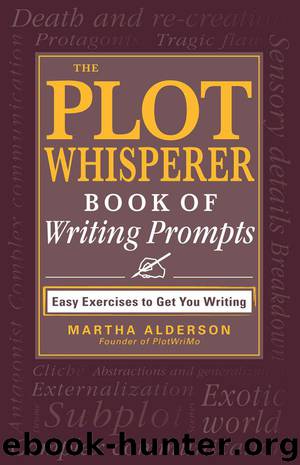 the plot whisperer book of writing prompts by martha alderson