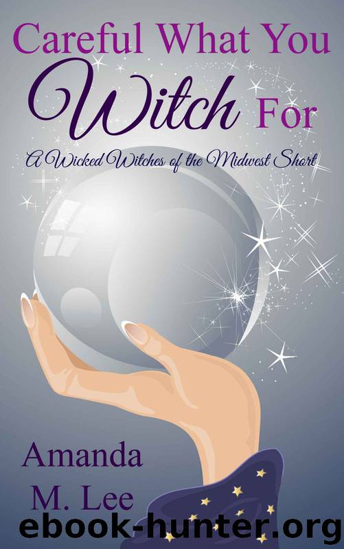 wicked witches 06.5 - careful what you witch for by lee amanda m