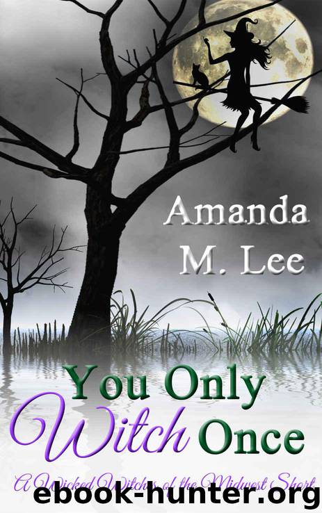 wicked witches 06.9 - you only witch once by lee amanda m