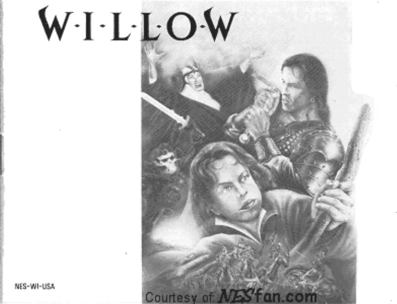 willow by Unknown