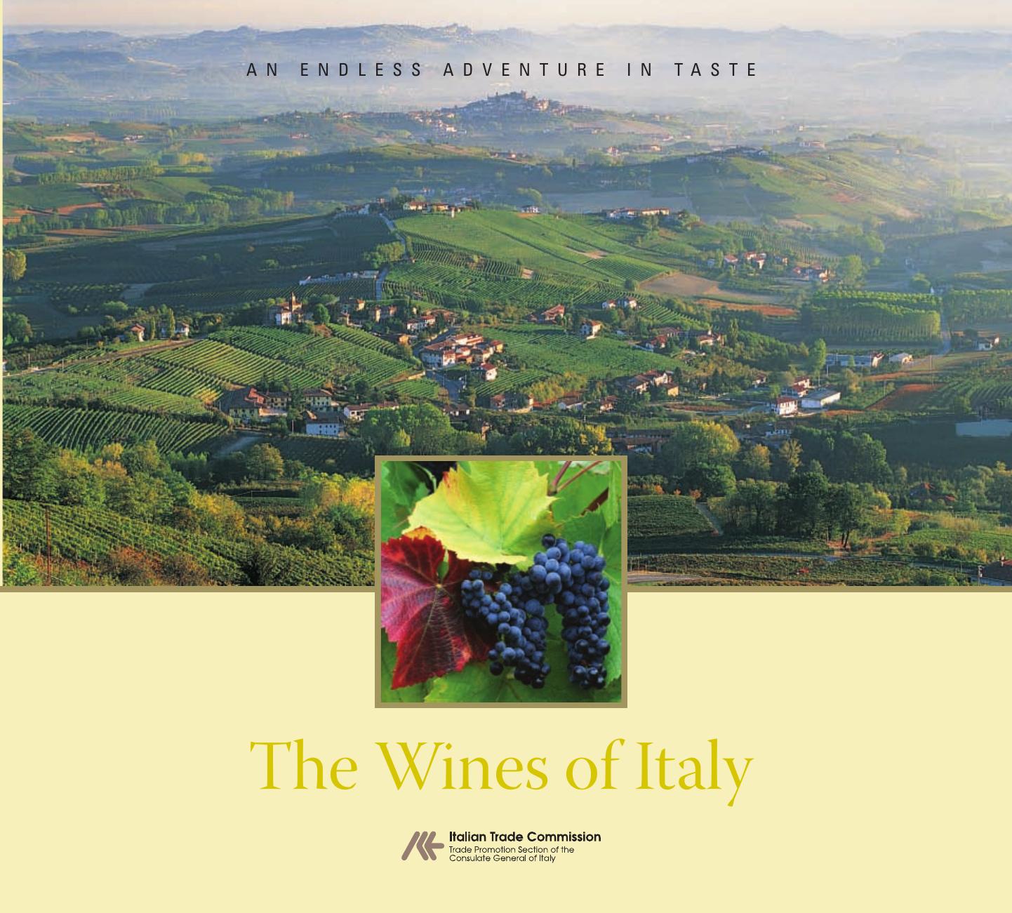 wines of Italy by Unknown